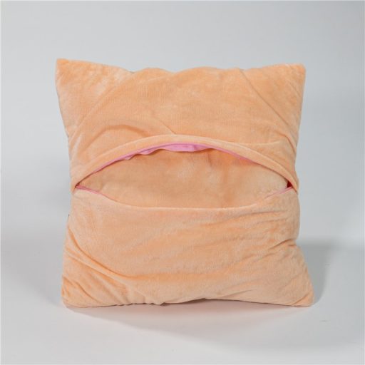 Disney Vaiana Pua párna, díszpárna levehető huzattal 35x35 cm Velúr