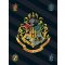Harry Potter Black polár takaró 100x140cm