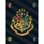Harry Potter Black polár takaró 100x140cm