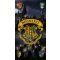 Harry Potter Sorting fürdőlepedő, strand törölköző 70x140cm