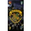 Harry Potter Sorting fürdőlepedő, strand törölköző 70x140cm