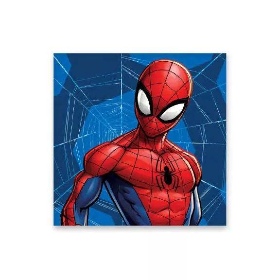Pókember Web kéztörlő, arctörlő, törölköző 30x30cm Pókember Web kéztörlő, arctörlő, törölköző 30x30cm