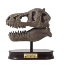 Tyrannosaurus koponya felfedező készlet BUKI Tyrannosaurus koponya felfedező készlet BUKI