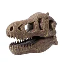 Tyrannosaurus koponya felfedező készlet BUKI Tyrannosaurus koponya felfedező készlet BUKI