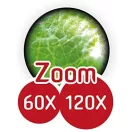 Zsebmikroszkóp LED fénnyel és okostelefon adapterrel BUKI Zsebmikroszkóp LED fénnyel és okostelefon adapterrel BUKI