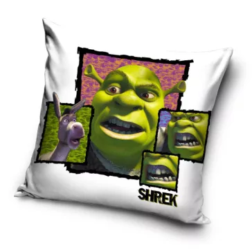 Shrek Fury párnahuzat 40x40 cm Velúr