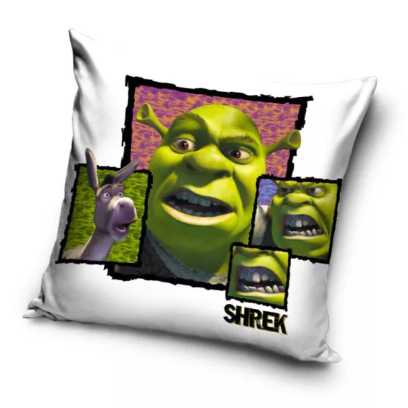 Shrek Fury párnahuzat 40x40 cm Velúr Shrek Fury párnahuzat 40x40 cm Velúr