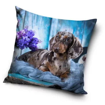 Kutyás Dachshund párnahuzat 40x40 cm