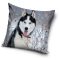 Kutyás Husky párnahuzat 40x40 cm