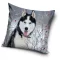 Kutyás Husky párnahuzat 40x40 cm