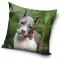 Kutyás Pit Bull Terrier párnahuzat 40x40 cm