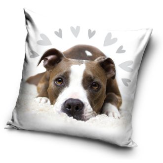 Kutyás Pit Bull Terrier Cute párnahuzat 40x40 cm