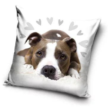 Kutyás Pit Bull Terrier Cute párnahuzat 40x40 cm