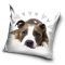 Kutyás Pit Bull Terrier Cute párnahuzat 40x40 cm