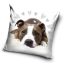 Kutyás Pit Bull Terrier Cute párnahuzat 40x40 cm