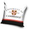 Cambridge University párnahuzat 40x40 cm