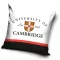 Cambridge University párnahuzat 40x40 cm