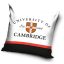 Cambridge University párnahuzat 40x40 cm