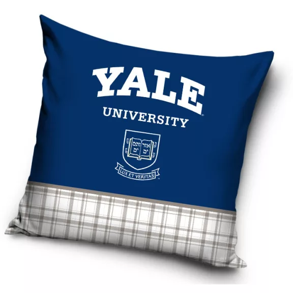 Yale University párnahuzat 40x40 cm Yale University párnahuzat 40x40 cm