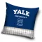 Yale University párnahuzat 40x40 cm
