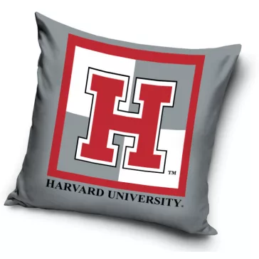 Harvard Univercity párnahuzat 40x40 cm