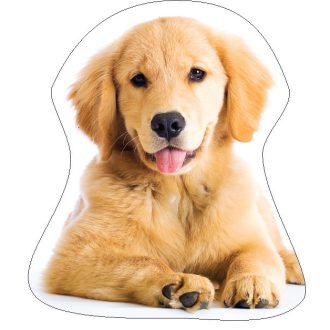 Kutyás Golden Retriver formapárna, díszpárna 35x35 cm