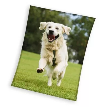  Kutyás Happytail Retriever coral fleece polár takaró 150x200cm