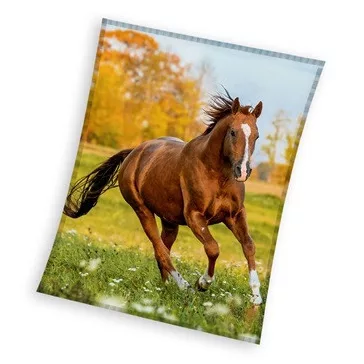 Lovas Gallop coral fleece polár takaró 150x200cm