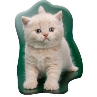   Cicás Creamy Whiskers formapárna, díszpárna 40x32 cm Velúr