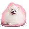 Kutyás Pomeranian formapárna, díszpárna 39x37 cm  Velúr