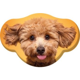 Kutyás Toy Poodle formapárna, díszpárna  28x40 cm Velúr