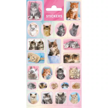 Állatos Cats matrica