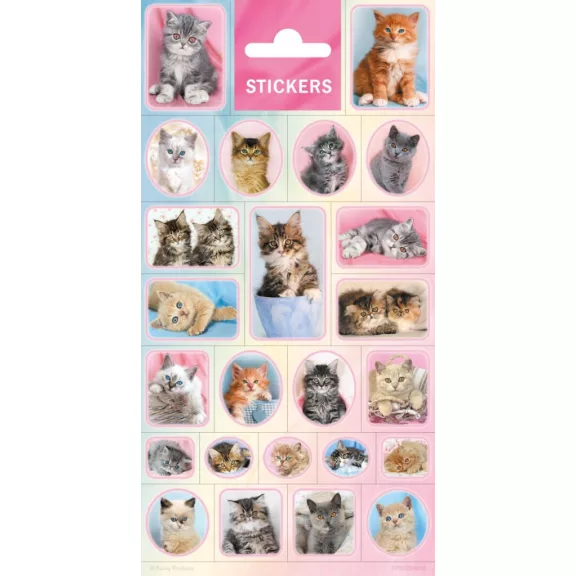 Állatos Cats matrica Állatos Cats matrica