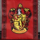 Harry Potter Gryffindor Premium átlátszó strandtáska 62 cm Harry Potter Gryffindor Premium átlátszó strandtáska 62 cm