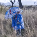 Sonic a sündisznó Ring gyerek átlátszó esernyő Ø71 cm Sonic a sündisznó Ring gyerek átlátszó esernyő Ø71 cm