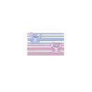 Disney Lilo és Stitch, A csillagkutya Angel hajgumi szett 8 db-os Disney Lilo és Stitch, A csillagkutya Angel hajgumi szett 8 db-os