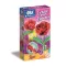 Virágkészítő szett Rose 2 db-os Clementoni