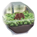 Mini Bear terrárium Clementoni Mini Bear terrárium Clementoni