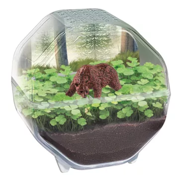Mini Bear terrárium Clementoni