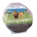 Mini Lion terrárium Clementoni Mini Lion terrárium Clementoni