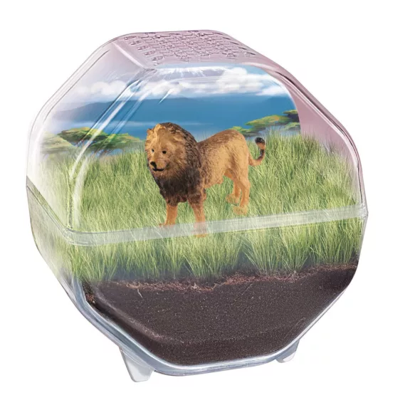 Mini Lion terrárium Clementoni