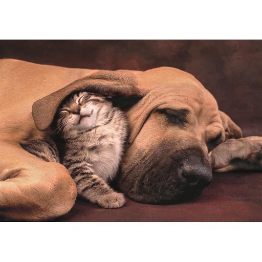Állatos Cuddles 500 db-os Compact puzzle Clementoni