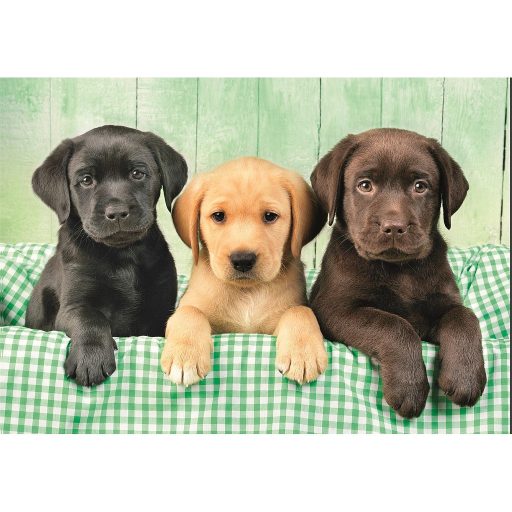 Kutyás Three Labs 1000 db-os puzzle Clementoni