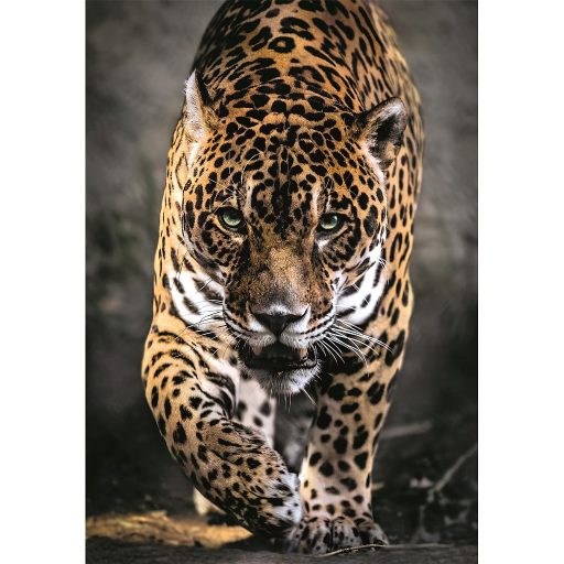 Állatos Walk of the Jaguar 1000 db-os puzzle Clementoni