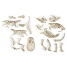Világító dinoszaurusz Archeo Fun régészeti készlet Clementoni Világító dinoszaurusz Archeo Fun régészeti készlet Clementoni