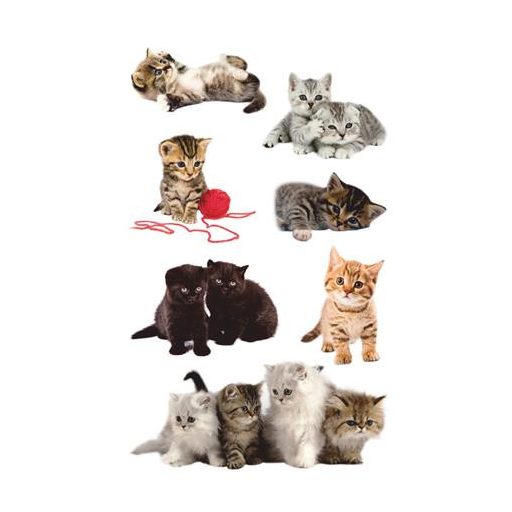 Matrica, papír,  3 ív, 76x120 mm, AVERY ZWECKFORM, "Z-Design No.55971", játékos kölyök cicák