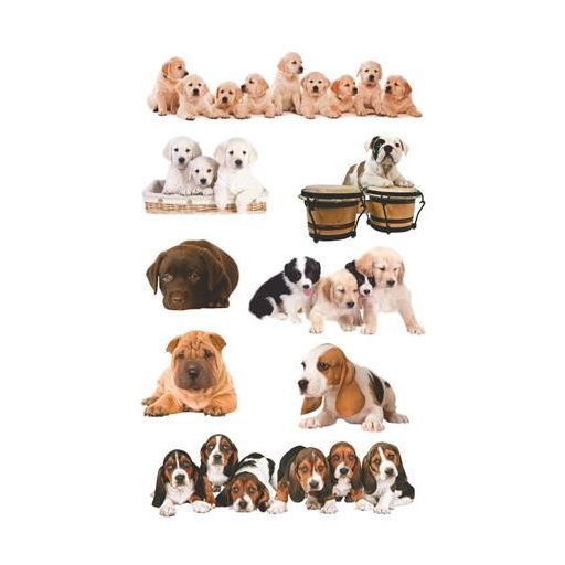 Matrica, papír,  3 ív, 76x120 mm, AVERY ZWECKFORM, "Z-Design No.55972", kölyök kutyák