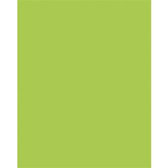 Színes papír, A3, 130 g, 50 lap, FOLIA, tavaszzöld