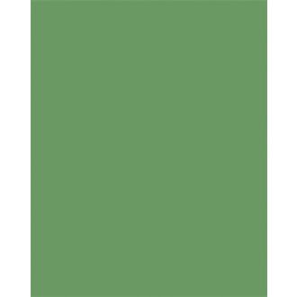 Színes papír, A3, 130 g, 50 lap, FOLIA, mohazöld