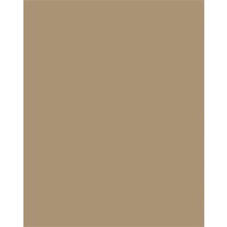 Színes papír, A3, 130 g, 50 lap, FOLIA, őzbarna